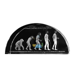 Darwin's Theory of Evolution